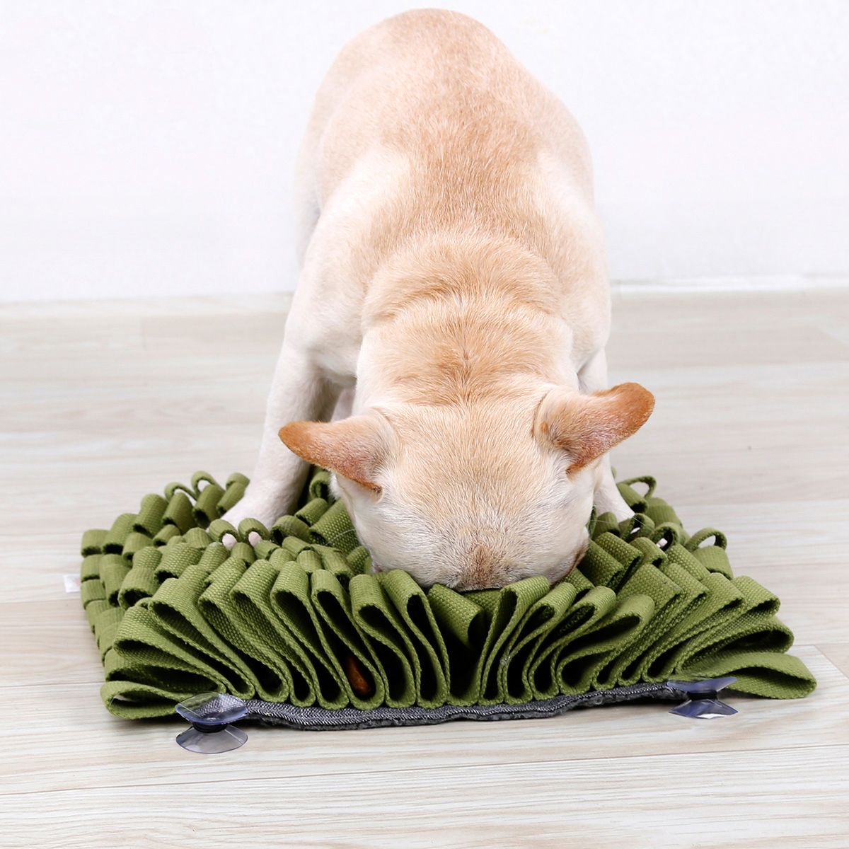 Pet Feeders for Dogs