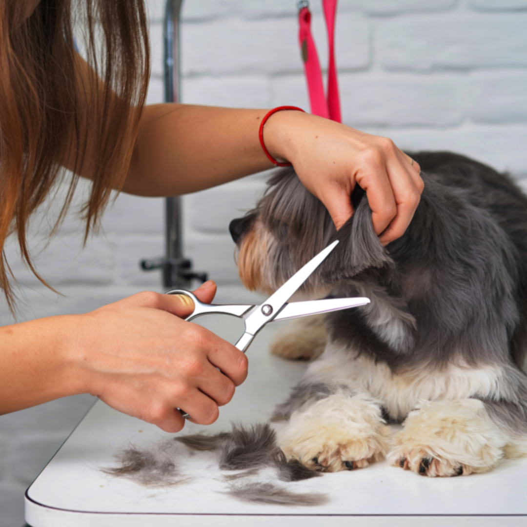 Pet Grooming Supplies