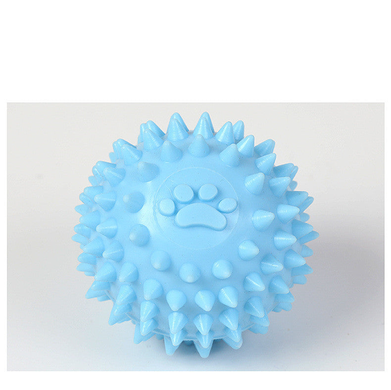 TPR Interactive Molar Dog Toy