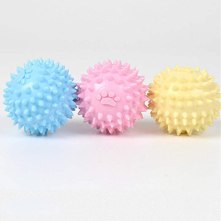 TPR Interactive Molar Dog Toy