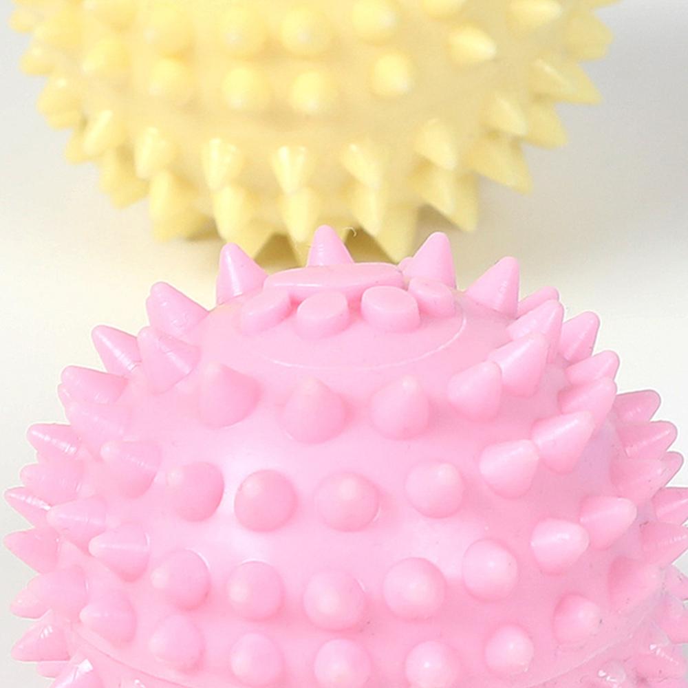 TPR Interactive Molar Dog Toy