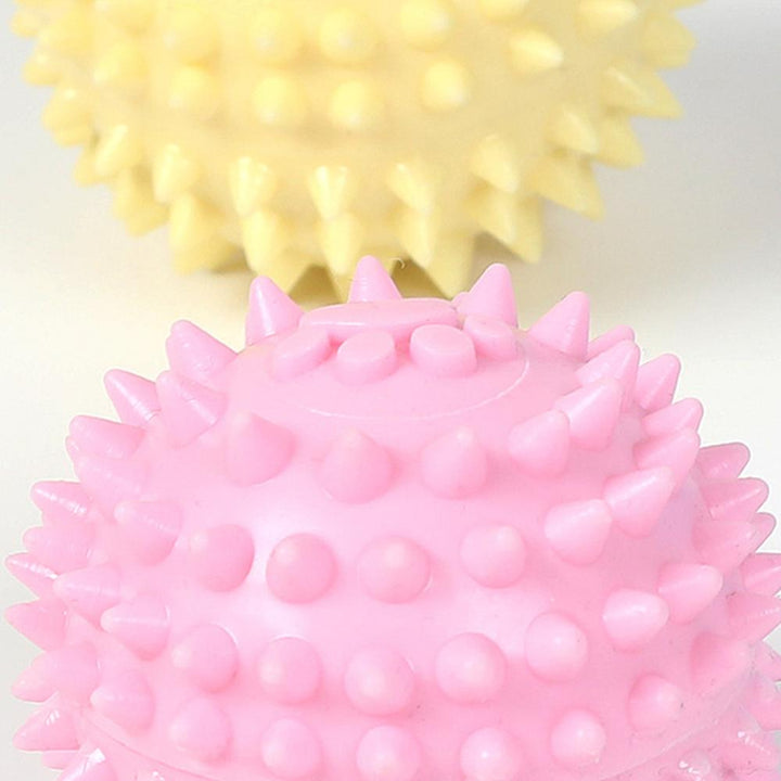 TPR Interactive Molar Dog Toy