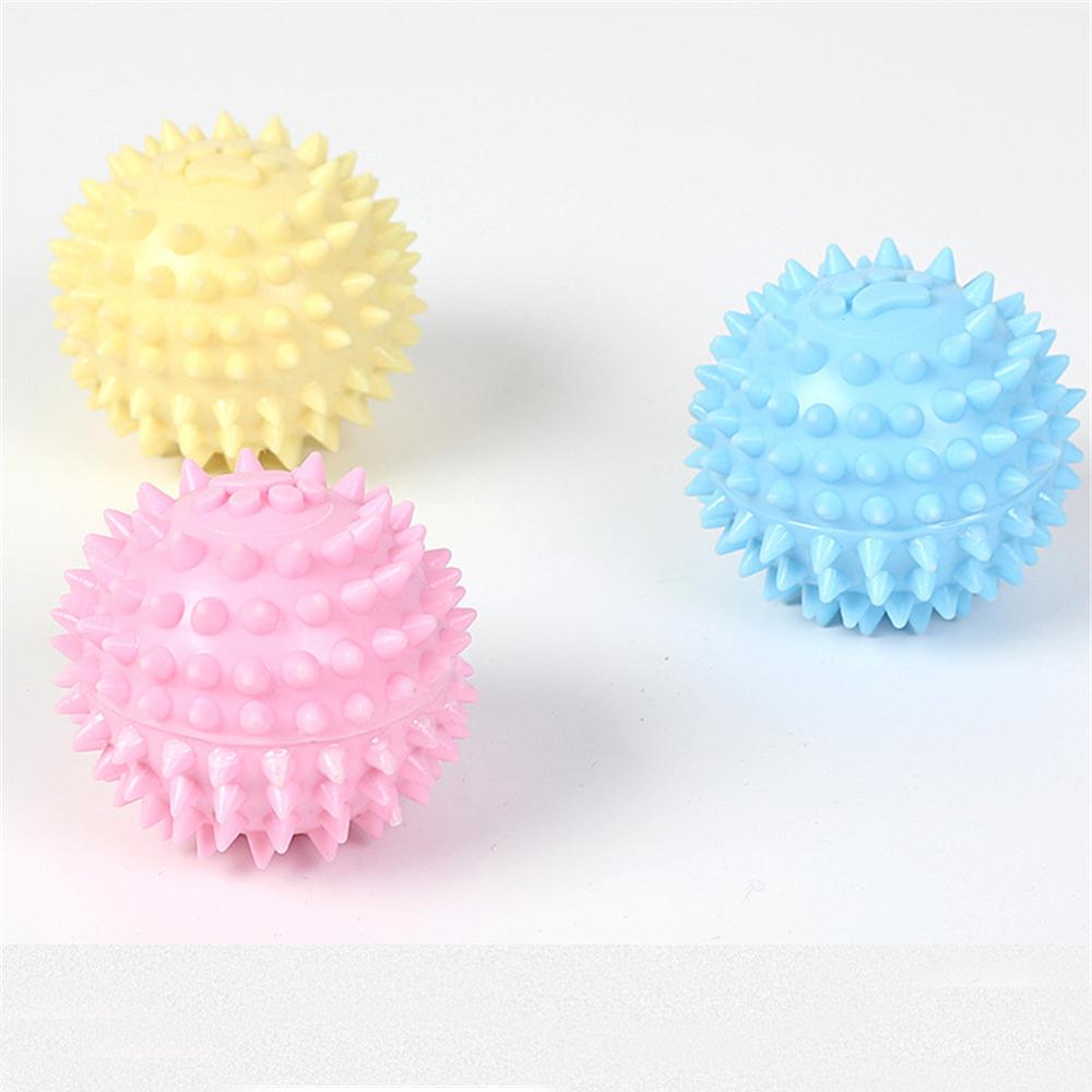 TPR Interactive Molar Dog Toy