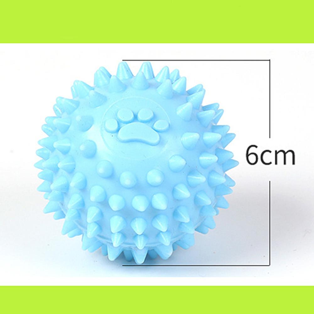 TPR Interactive Molar Dog Toy