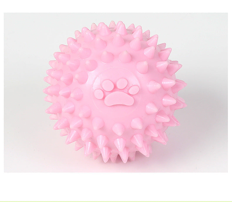 TPR Interactive Molar Dog Toy
