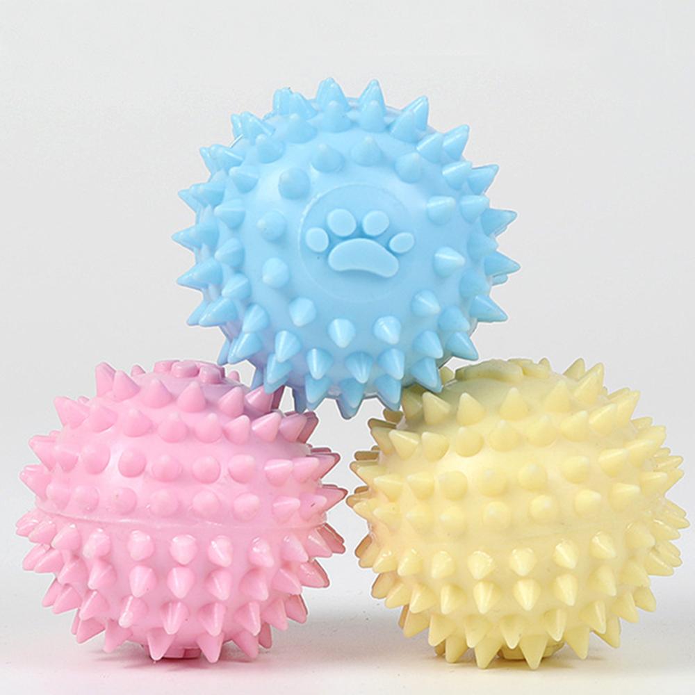 TPR Interactive Molar Dog Toy