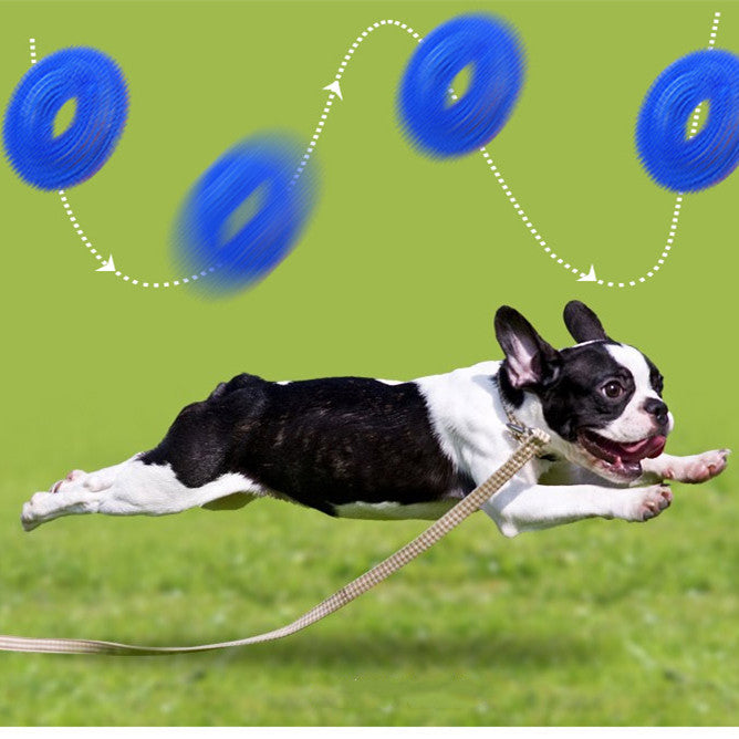 Bite-Resistant Sounding Dog Toy Ball