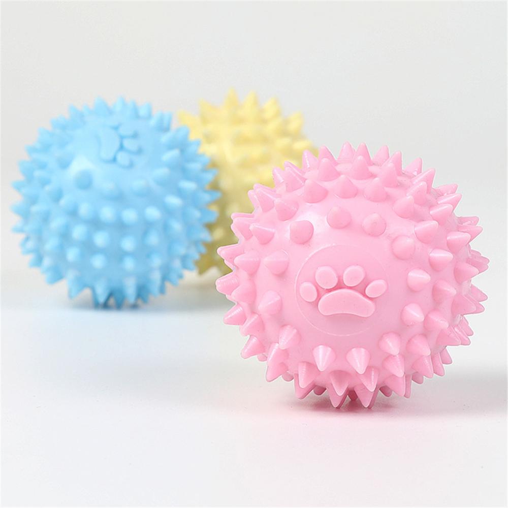 TPR Interactive Molar Dog Toy