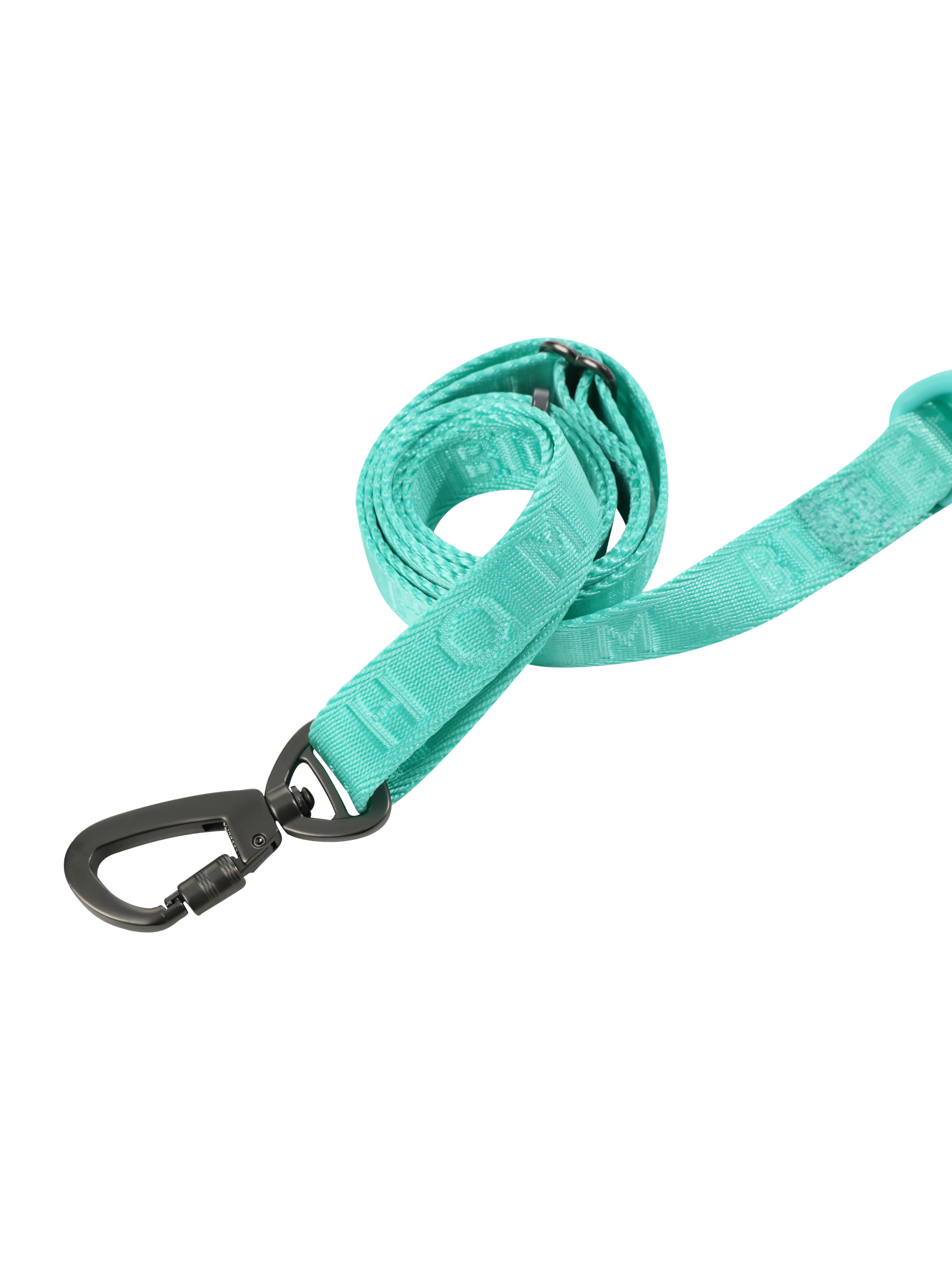 Padded Active Pet Leash – Mint Green