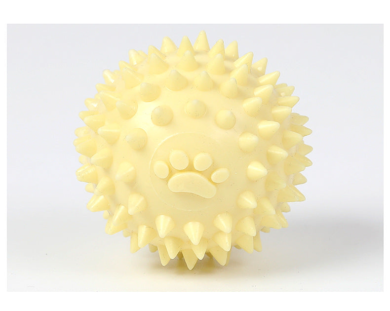 TPR Interactive Molar Dog Toy