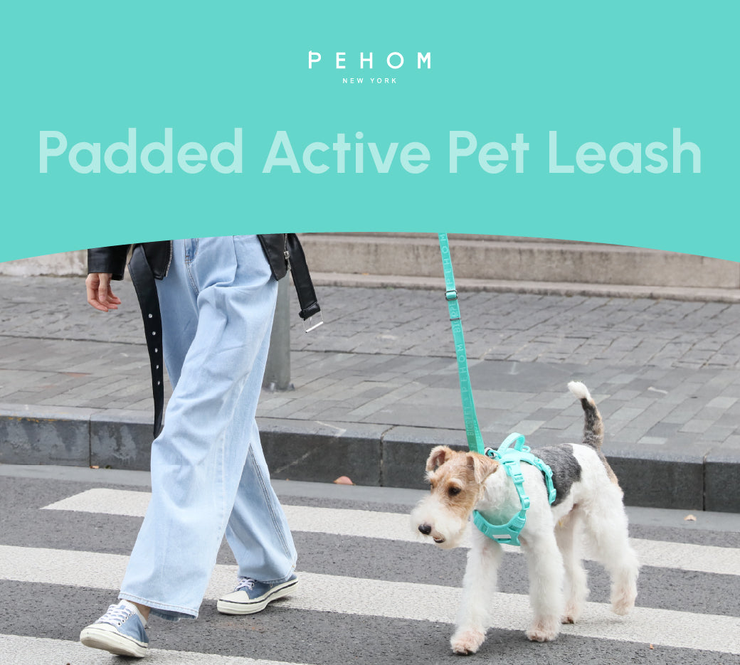 Padded Active Pet Leash – Mint Green