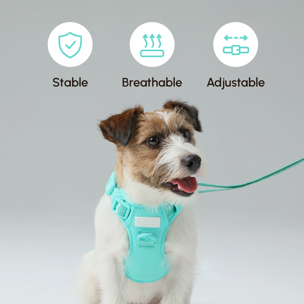 Padded Active Pet Leash – Mint Green