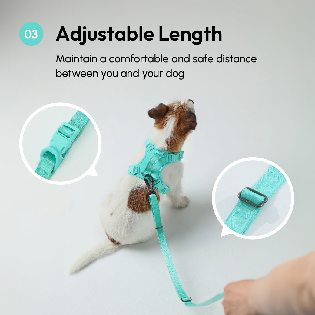 Padded Active Pet Leash – Mint Green