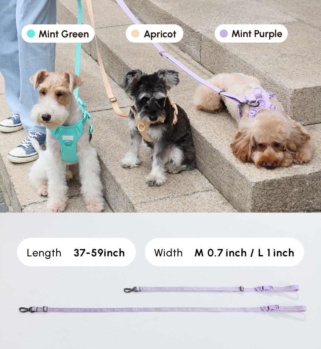 Padded Active Pet Leash – Mint Green