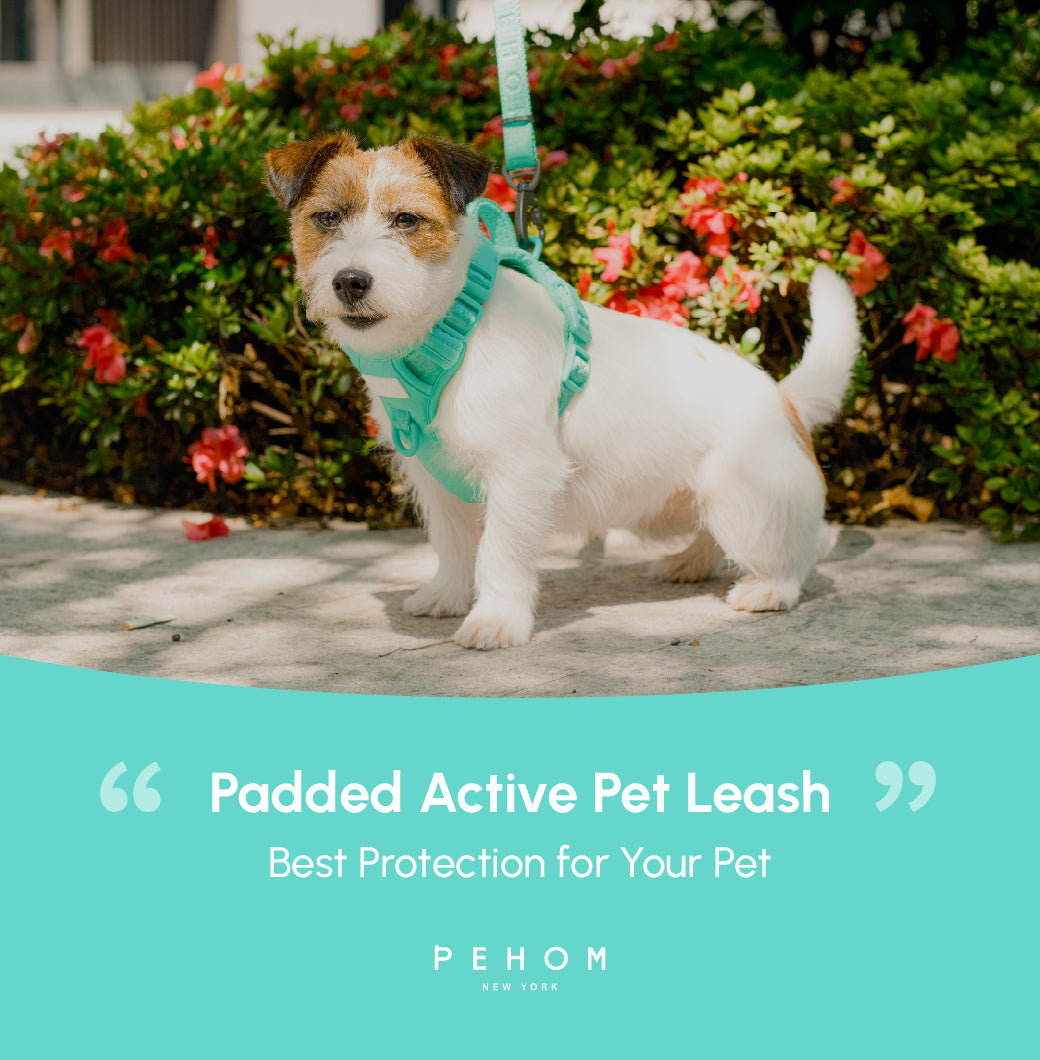 Padded Active Pet Leash – Mint Green