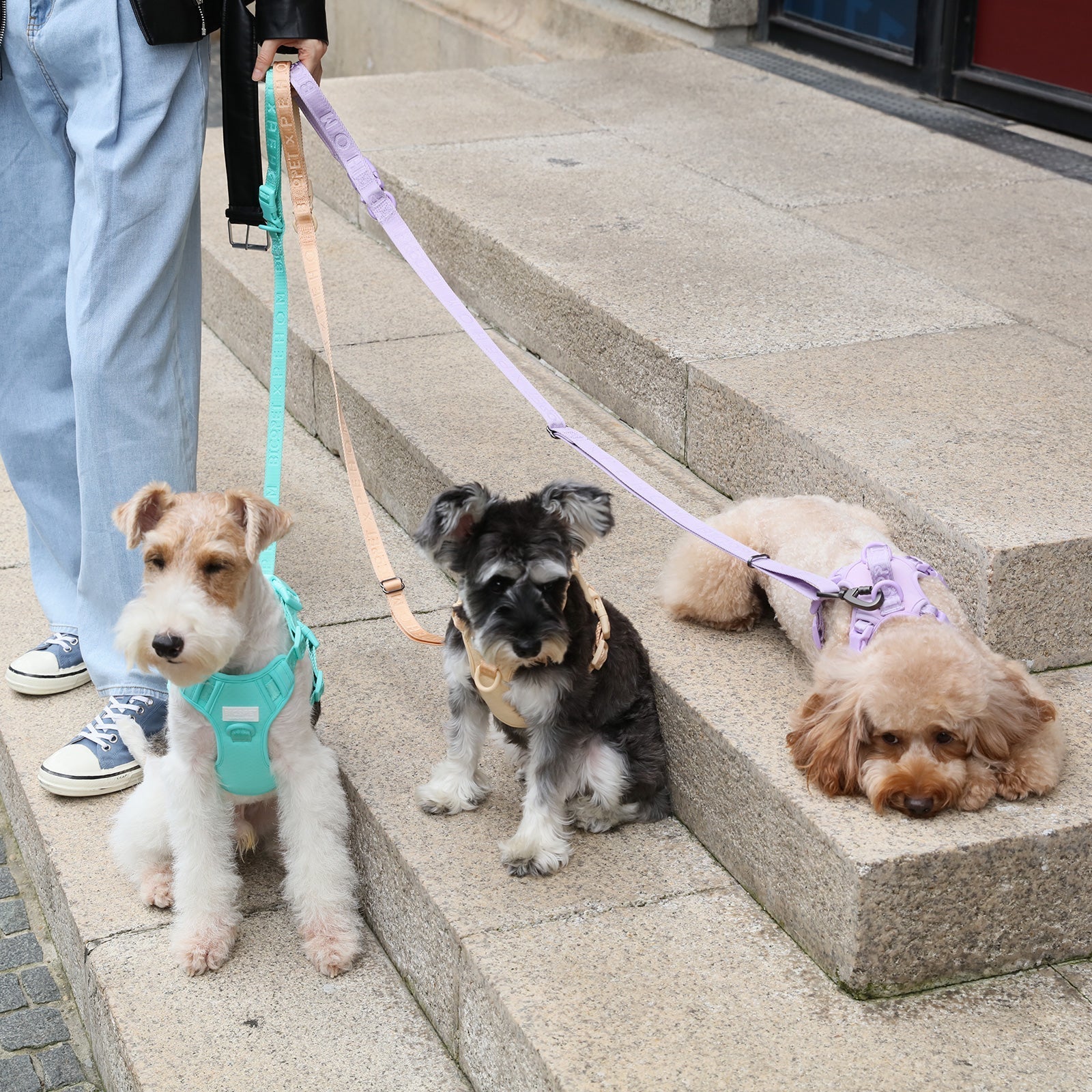 Padded Active Pet Leash – Mint Green