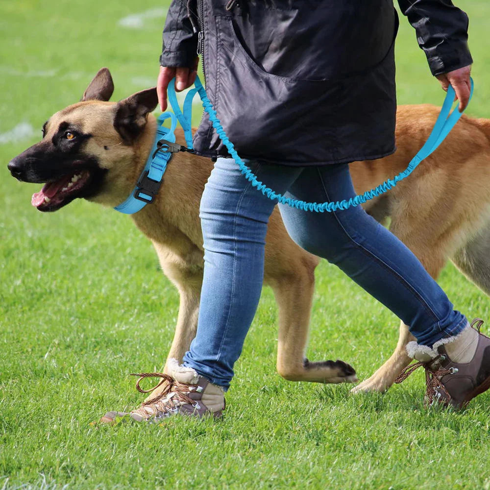 The Tactical Luxe Collar & Leash