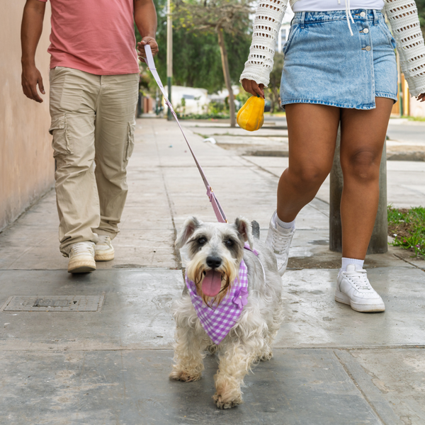 Two people walking a small dog on a leash in an urban setting