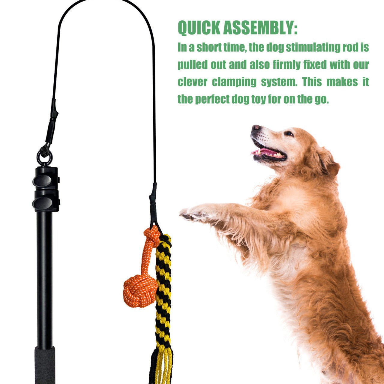Telescopic Stick Teasing Rod Toy Pet