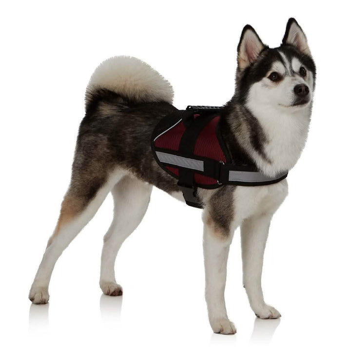 Ez-Pet Soft Adjustable Dog Harness