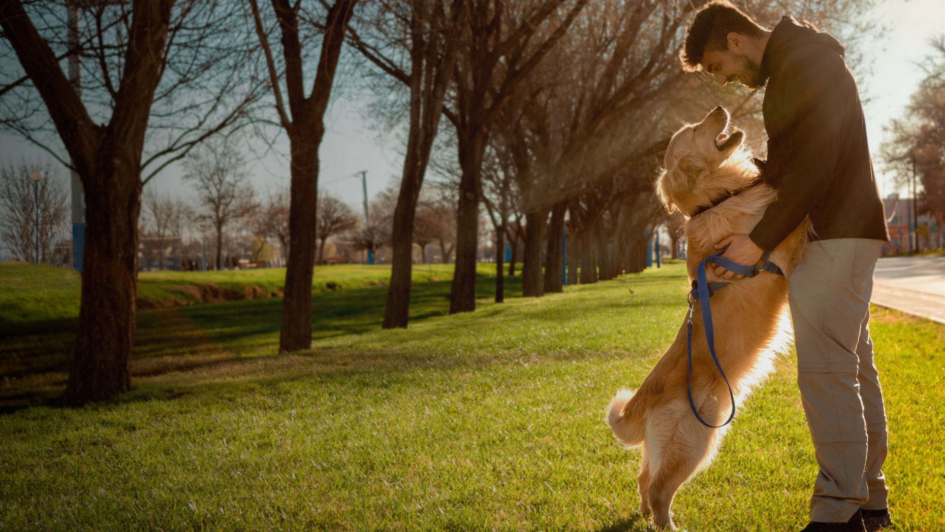 Man playing with a dog in a park on a sunny day